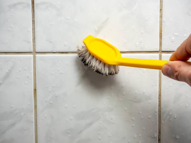 Best Mold Remediation Services  in Lithonia, GA