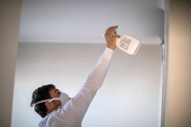 Best Residential Mold Removal  in Lithonia, GA