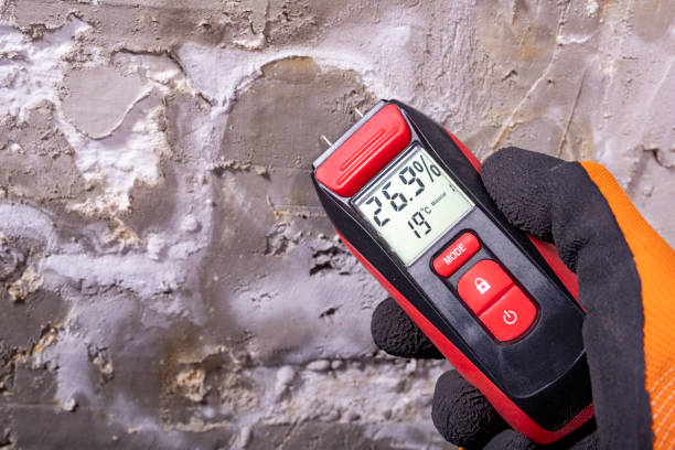 Best Commercial Mold Removal  in Lithonia, GA