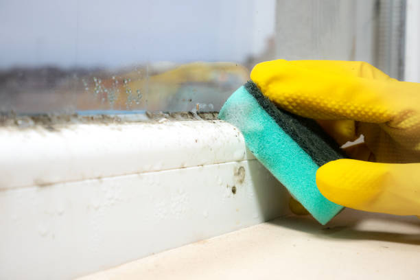 Best Mold Testing  in Lithonia, GA
