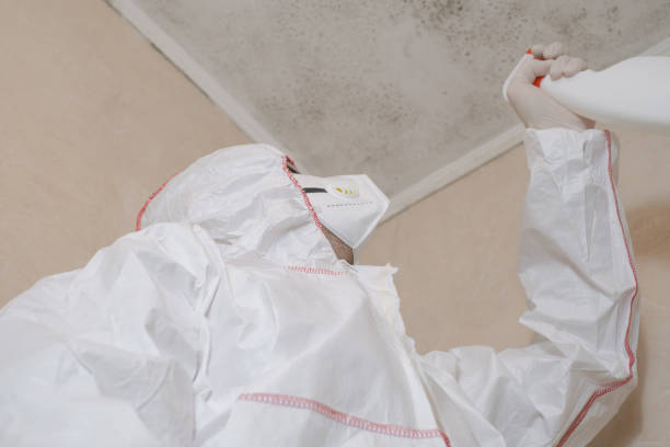 Best Fast Mold Removal  in Lithonia, GA